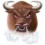 Gry bull 7
